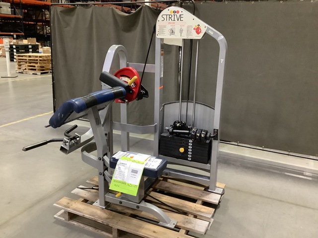 Strive Arm Curl Machine Strive Arm Curl Machine