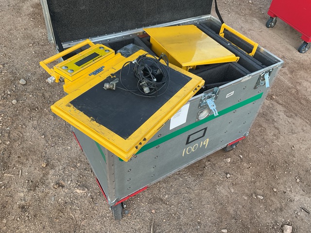 Intercomp Weighing Scale System