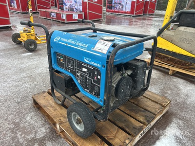 Tsurumi TPG4-6000HCSA Tragbarer Generator
