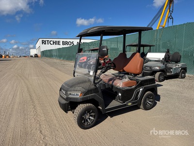 ICON P20 Pure Electric Golf Cart (Unused)