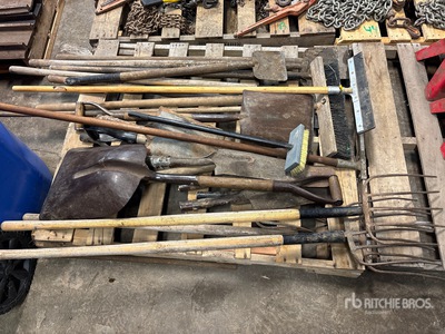 Quantity of Shovels Varios, tienda, almacen, consumidor