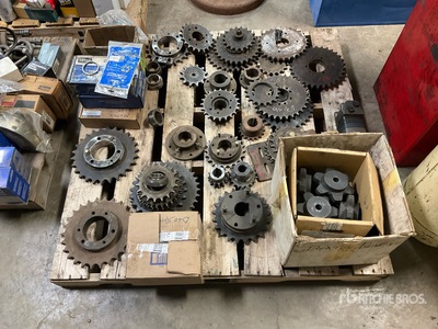 Quantity of Chain Sprockets Varios, tienda, almacen, consumidor