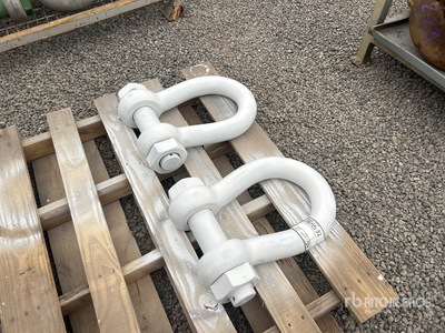 Quantity of (2) Shackle