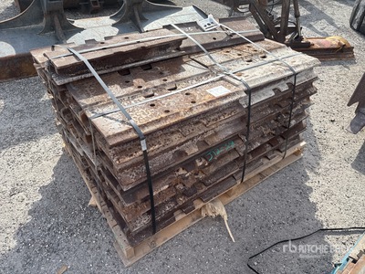 Quantity of (51) Track Shoes