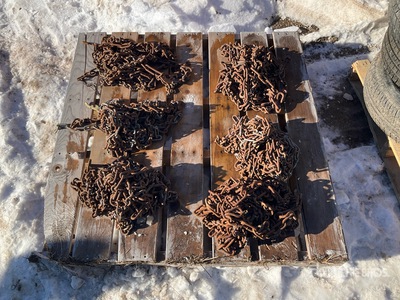 Quantity of (6) Tire Chains