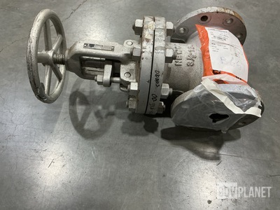 Newco 21F-CB3 Globe Valve