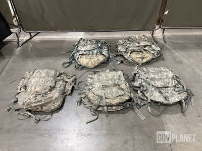 (10) Large Field Pack Sets