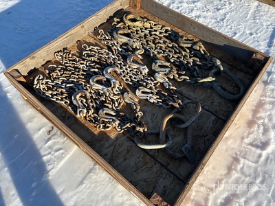 Quantity of (2) Chain Élingue