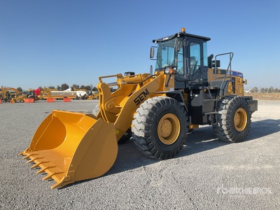 2025 SEM SEM655D Cargador sobre Neumaticos (Sin Usar) / Wheel Loader (Unused)