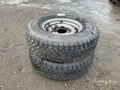 Quantity of (2) Wielen