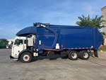 General Appearance with Paint