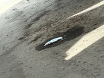 Underbody with 