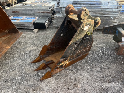 Cat 20 in Digging Excavator Bucket