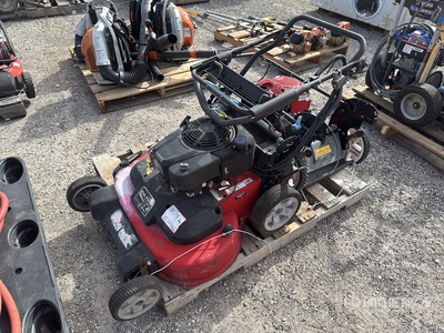 Quantity of (2) Walk-Behind Rasa erba