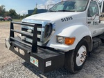 General Appearance with Paint
