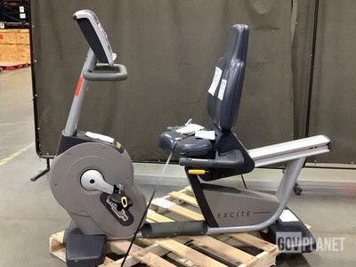 Techno Gym Excite Recumbent Exercise Bike