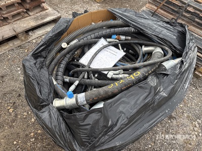 Quantity of Cat Slang