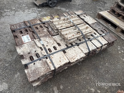 Quantity of (42) Track Shoes