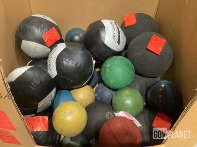 (32) Assorted Medicine Balls