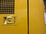 General Appearance with Paint