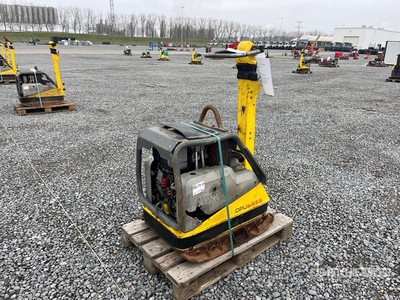 Wacker Neuson DPU6555 Vibratory Plate Compactor
