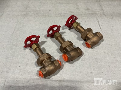 (42) Samuel Levine Plumbing & Heating 1174-700-12 Gate Valves
