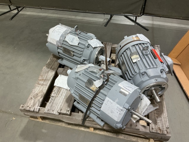 (3) Reliance Electric 256TNC Electric Motors