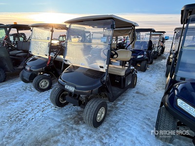2014 E-Z-Go Electric Golf Cart