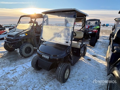 2014 E-Z-Go Electric Golf Cart