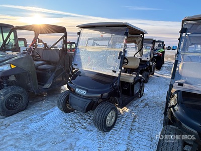 2014 E-Z-Go Electric Golf Cart