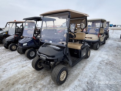 2014 E-Z-Go Electric Golf Cart