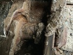 Undercarriage with Right Track Bushings