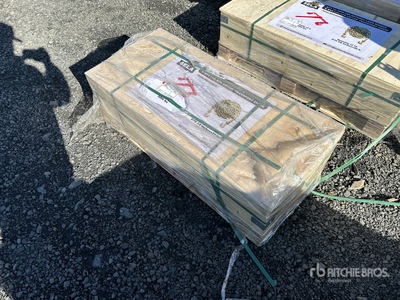 Quantity of 2026 SELA LB9200 Ratchet Binders & Transport Chains Varios, tienda, almacen, consumidor (Unused)