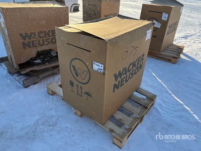 2022 Wacker Neuson BPS 1550 B Zagęszczarka wibracyjna (Unused)