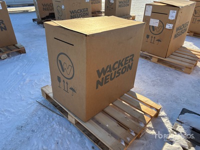 2022 Wacker Neuson BPS 1550 B Zagęszczarka wibracyjna (Unused)