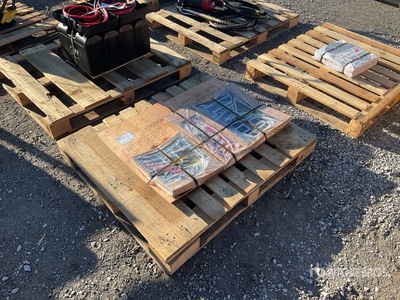 Quantity of Neon Signs (Unused)