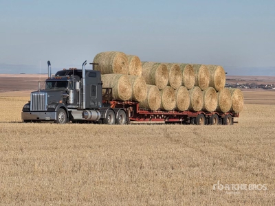 Quantity of (35) Barley Green Feed Bales