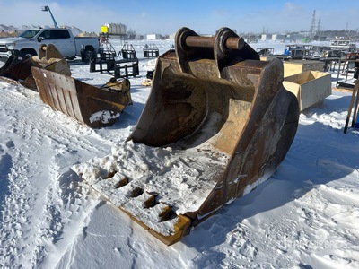 Cat 55 in Digging Excavator Bucket