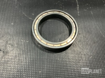 (3) Annular Ball Bearings