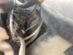 Motore with Oil Leaks