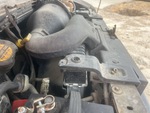 Motore with Radiatore
