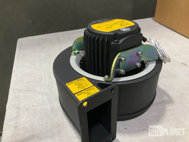 bilder & videofilmer