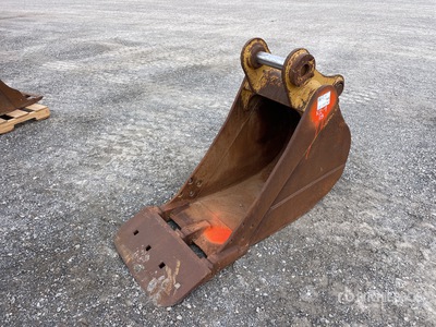 Cat 22 in Cleanup Bucket