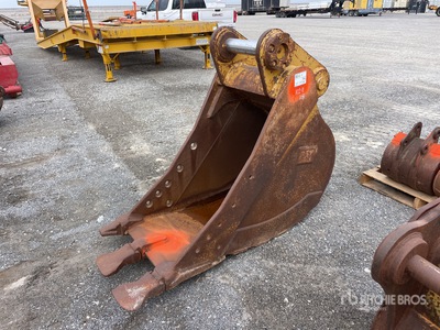 Cat 30 in Digging Bucket