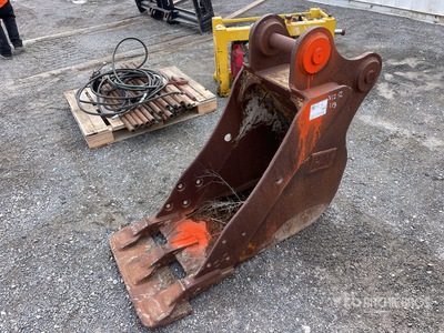 Cat 24 in Cleanup Bucket