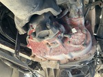 Underbody with Transmission