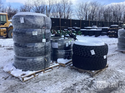 (8) Sand Trail 450/80R20 M.O.V. Tires