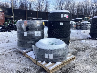 (8) Sand Trail 450/80R20 M.O.V. Tires