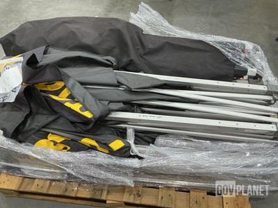 (2) Tent Canopies