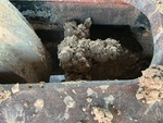 Undercarriage with Left Track Tensioner